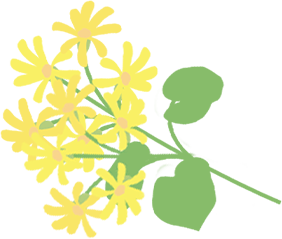 黄色い花のイラスト